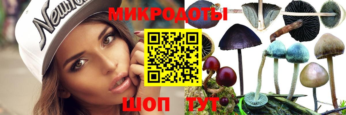 Тамбов  Галлюциногенные грибы мицелий  Вход с VPN 